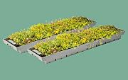 Sedum Tray Terragrow 850l