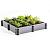 Garden box moestuinbak