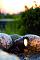LunAqua classic led
