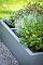 Ecoplanc