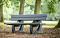 Parkbank met leuning