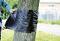 Arbo tape bio wondverzorgingsfolie