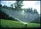 Rainbird 1800