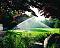 Rainbird turbine 5000 sproeier